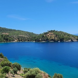 alt_1Bodrum Mazı Taş Ev | Sedef Koyu'nda Kiralık Villa ve Apart Odalar