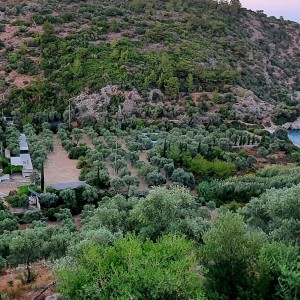 alt_1Bodrum Mazı Taş Ev | Sedef Koyu'nda Kiralık Villa ve Apart Odalar