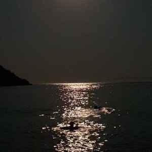 alt_1Bodrum Mazı Taş Ev | Sedef Koyu'nda Kiralık Villa ve Apart Odalar