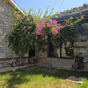 alt_1Bodrum Mazı Taş Ev | Sedef Koyu'nda Kiralık Villa ve Apart Odalar