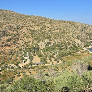 alt_1Bodrum Mazı Taş Ev | Sedef Koyu'nda Kiralık Villa ve Apart Odalar