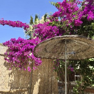 alt_1Bodrum Mazı Taş Ev | Sedef Koyu'nda Kiralık Villa ve Apart Odalar