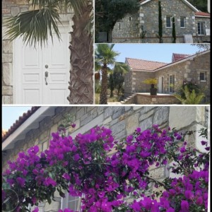 alt_1Bodrum Mazı Taş Ev | Sedef Koyu'nda Kiralık Villa ve Apart Odalar