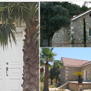 alt_1Bodrum Mazı Taş Ev | Sedef Koyu'nda Kiralık Villa ve Apart Odalar