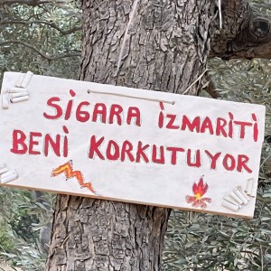 alt_1Bodrum Mazı Taş Ev | Sedef Koyu'nda Kiralık Villa ve Apart Odalar