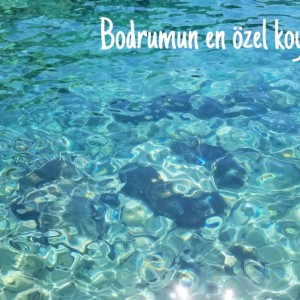 alt_1Bodrum Mazı Taş Ev | Sedef Koyu'nda Kiralık Villa ve Apart Odalar